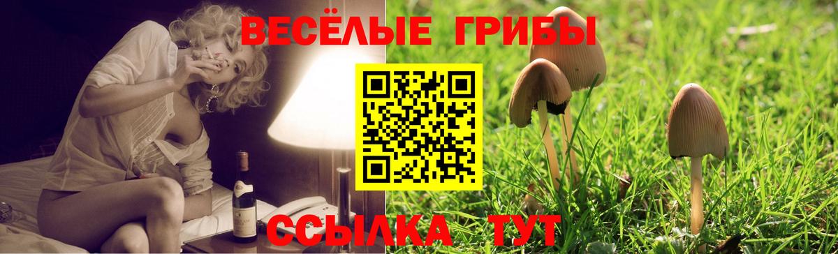 Псилоцибиновые грибы Magic Shrooms  Вход с VPN  Озёрск 