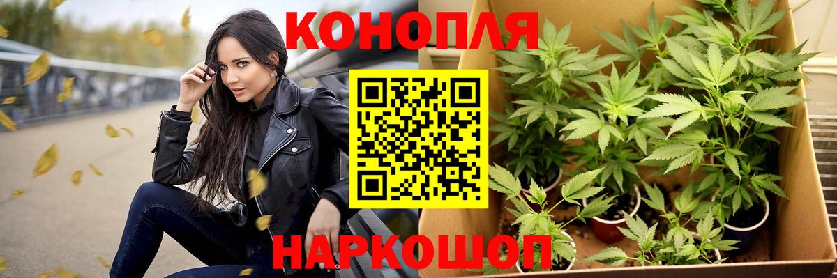 Конопля тримм  Вход с VPN  Озёрск  Бошки Шишки Bruce Banner  Марихуана марихуана 